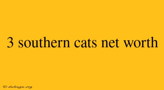 3 Southern Cats Net Worth