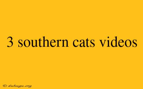 3 Southern Cats Videos