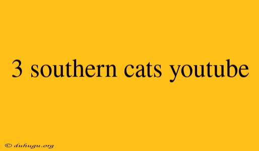 3 Southern Cats Youtube