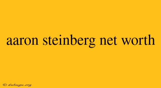 Aaron Steinberg Net Worth