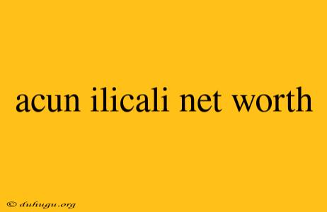 Acun Ilicali Net Worth