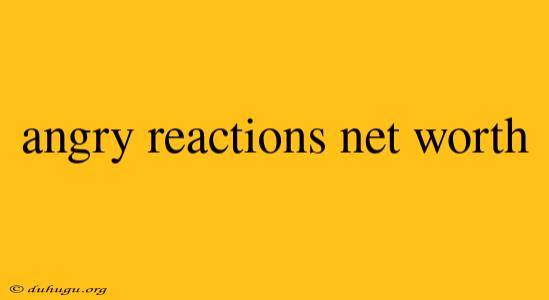 Angry Reactions Net Worth