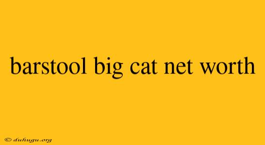 Barstool Big Cat Net Worth