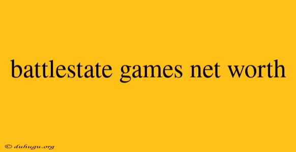 Battlestate Games Net Worth