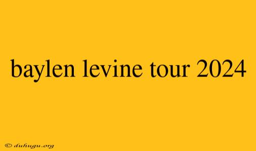 Baylen Levine Tour 2024