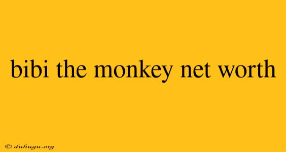 Bibi The Monkey Net Worth