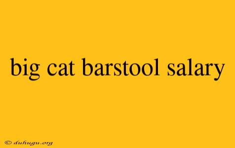 Big Cat Barstool Salary