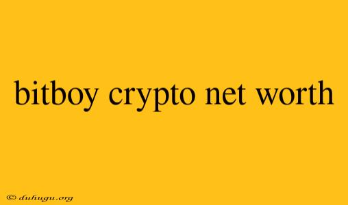 Bitboy Crypto Net Worth