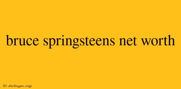 Bruce Springsteens Net Worth