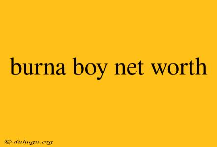 Burna Boy Net Worth