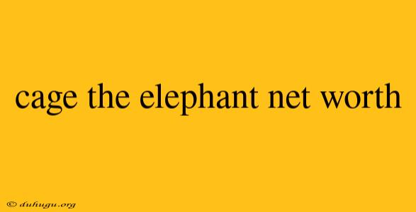 Cage The Elephant Net Worth