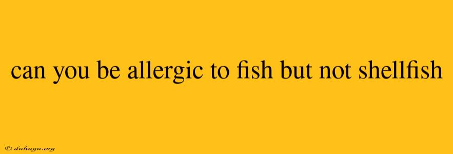 Can You Be Allergic To Fish But Not Shellfish