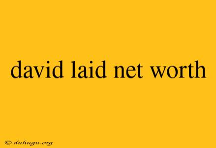 David Laid Net Worth