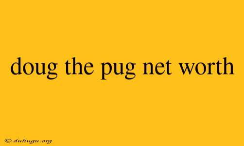 Doug The Pug Net Worth