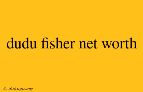 Dudu Fisher Net Worth