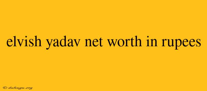 Elvish Yadav Net Worth In Rupees