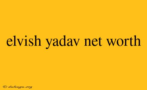 Elvish Yadav Net Worth