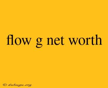 Flow G Net Worth