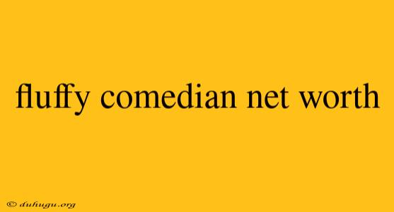 Fluffy Comedian Net Worth