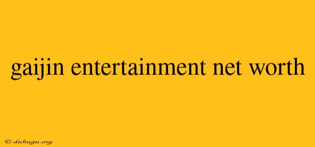 Gaijin Entertainment Net Worth