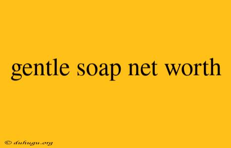 Gentle Soap Net Worth