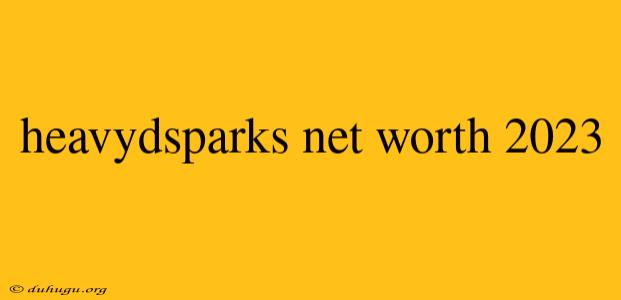 Heavydsparks Net Worth 2023