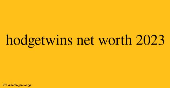 Hodgetwins Net Worth 2023