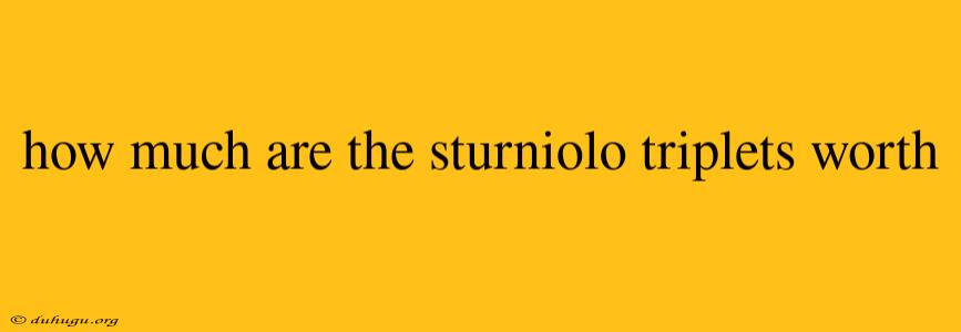 How Much Are The Sturniolo Triplets Worth