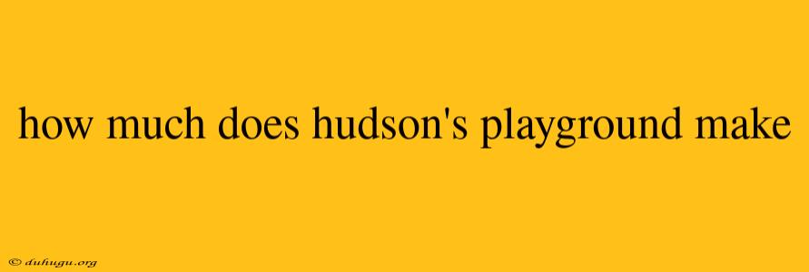 How Much Does Hudson's Playground Make