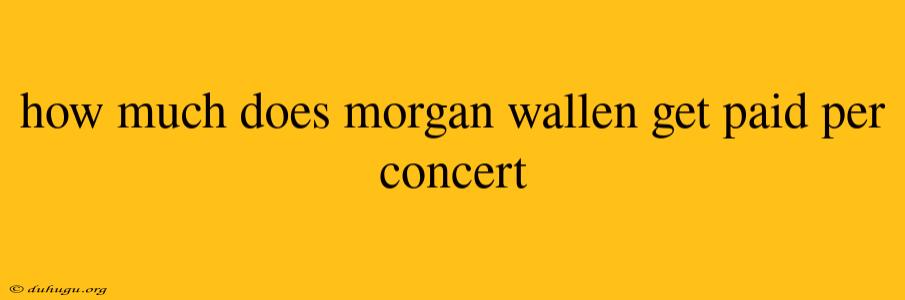 How Much Does Morgan Wallen Get Paid Per Concert