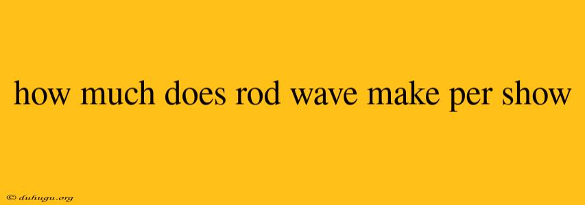 How Much Does Rod Wave Make Per Show