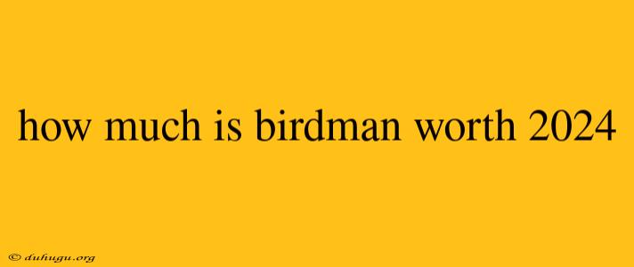 How Much Is Birdman Worth 2024