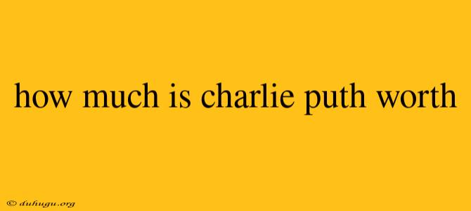 How Much Is Charlie Puth Worth