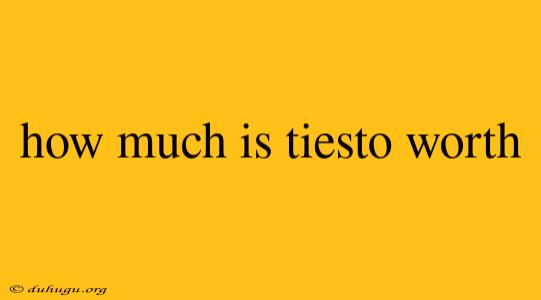 How Much Is Tiesto Worth