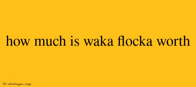 How Much Is Waka Flocka Worth