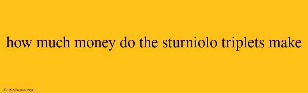 How Much Money Do The Sturniolo Triplets Make