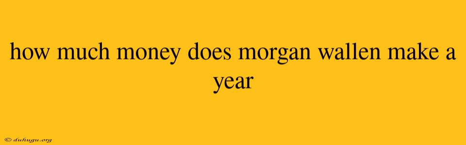 How Much Money Does Morgan Wallen Make A Year