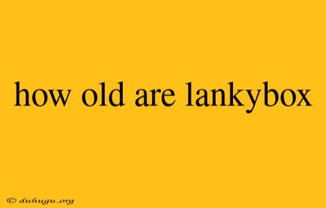 How Old Are Lankybox