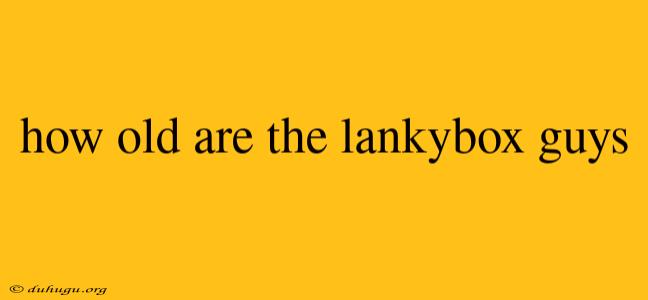 How Old Are The Lankybox Guys