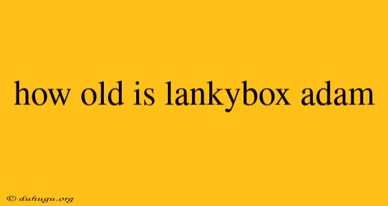 How Old Is Lankybox Adam