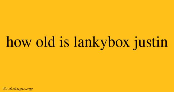 How Old Is Lankybox Justin