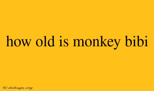 How Old Is Monkey Bibi