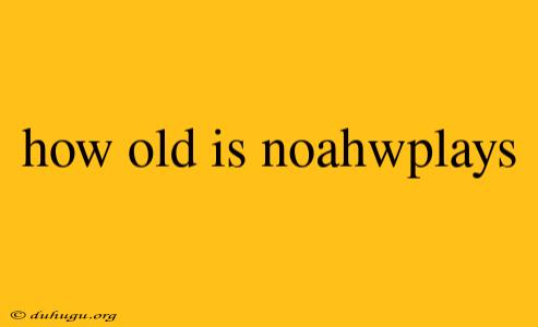 How Old Is Noahwplays