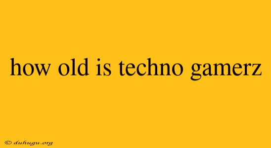 How Old Is Techno Gamerz