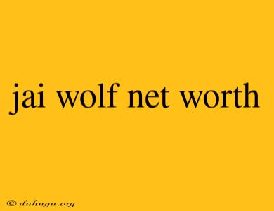 Jai Wolf Net Worth