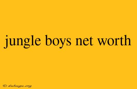 Jungle Boys Net Worth