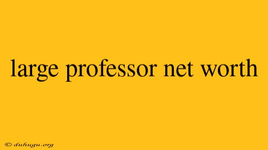 Large Professor Net Worth