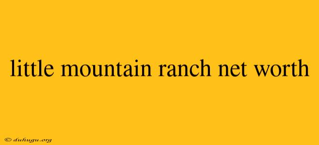 Little Mountain Ranch Net Worth