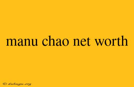 Manu Chao Net Worth