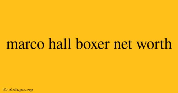 Marco Hall Boxer Net Worth